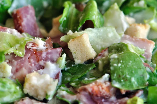 Caesar salade sla en spek — Stockfoto