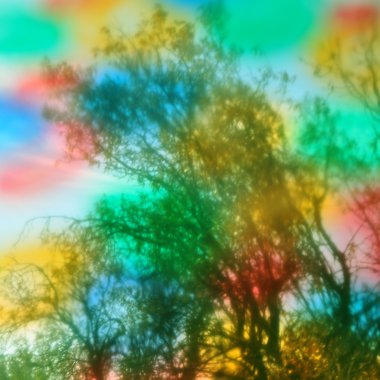 Trees abstract colors clipart