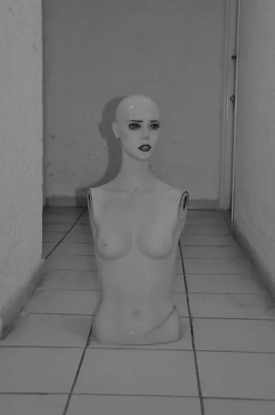 Poupée fantasmagorique mannequin — Photo