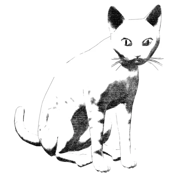 Cat sketch — Stock Photo, Image