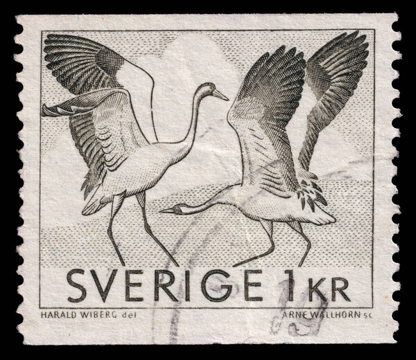 Crane Birds Mating Dance Vintage Illustration Postmarked Postage Stamp Printed Stock Image