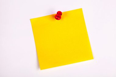 notlar için renk yaprak