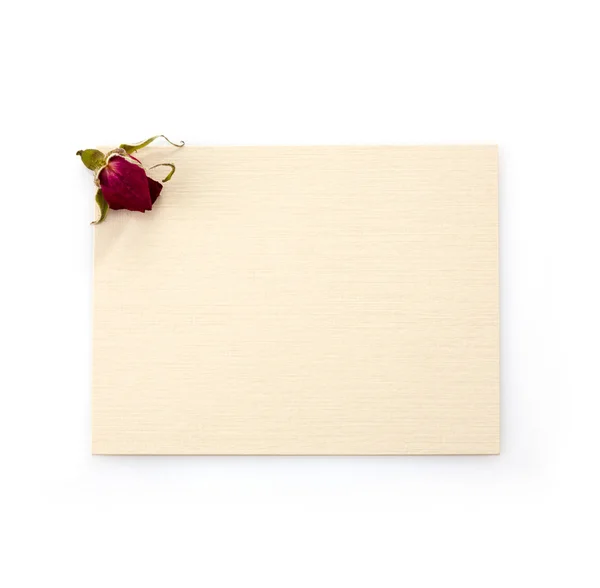 Blank paper with dried rose on a pink background design element, free  image by rawpixel.com…