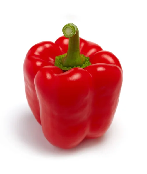 Bell pepper — Stock Photo, Image