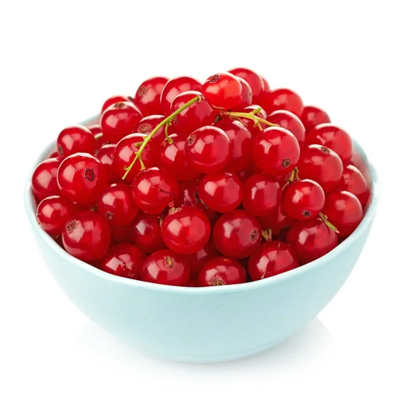 Bowl of fresh red currants on white background — Stock Photo, Image