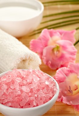 pembe banyo tuzları kase