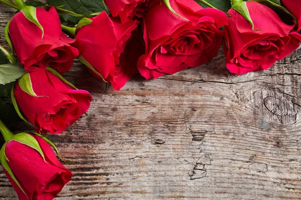 Red roses — Stock Photo, Image