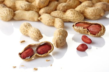 Fıstık