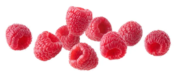 Various Falling Fresh Ripe Raspberries Isolated White Background Horizontal Composition — Stock Photo, Image