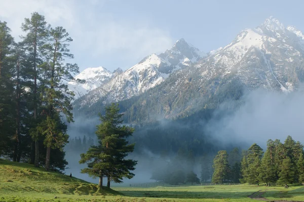 dağ manzarası. dağ alan arhiz. Köprü glade görüntüleyin. theberda rezerv. Karaçay-Çerkez Cumhuriyeti. Rusya