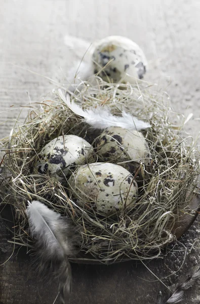 Huevos de Pascua —  Fotos de Stock