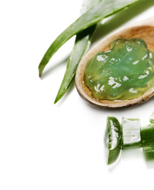aloe vera jeli