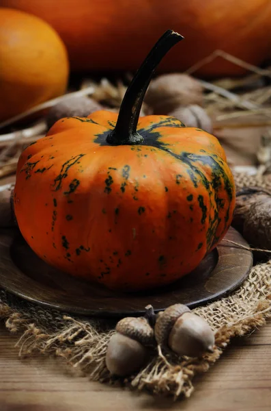 Pumpkin — Stock Photo, Image