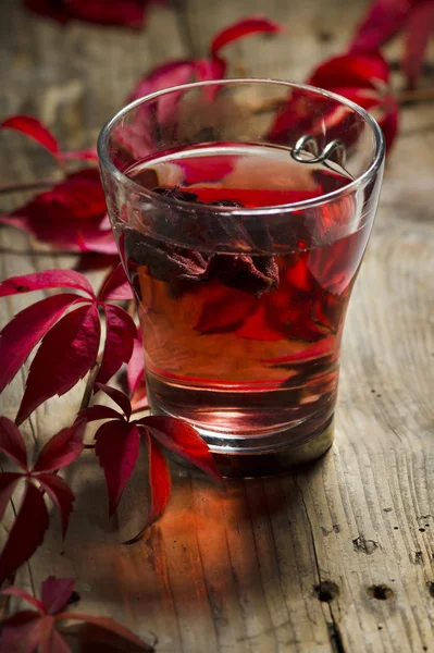 Cup of tea — Stock Photo, Image