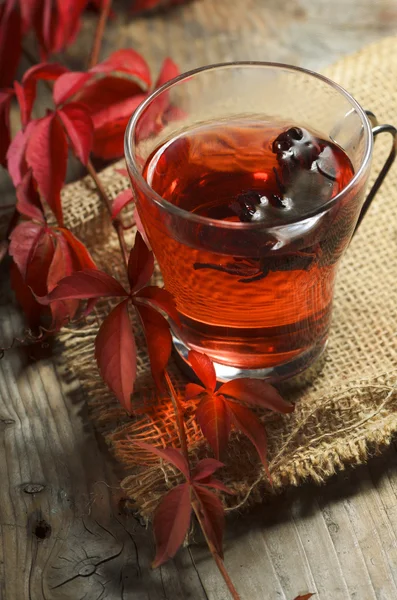 Cup of tea — Stock Photo, Image