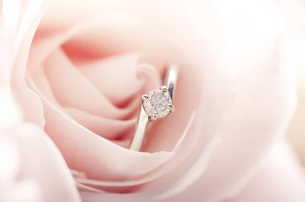 Обручальное кольцо в розовой розе — стоковое фото