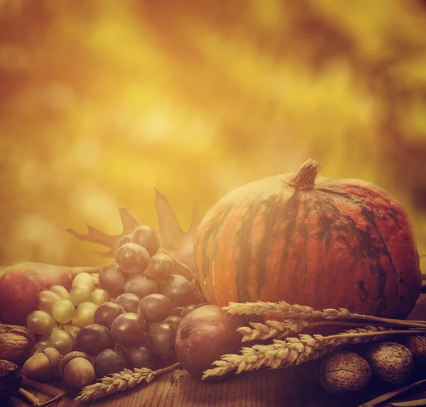 Concepto de otoño —  Fotos de Stock