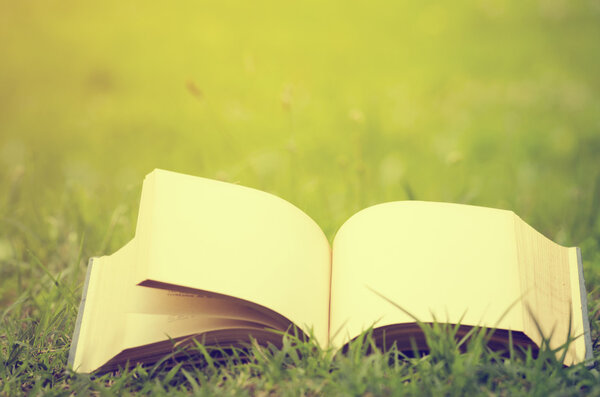 Open book with empty pages in the grass