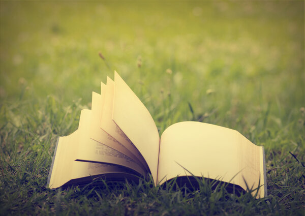 Open book with empty pages in the grass