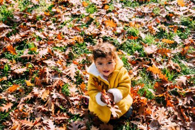 Sarı ceketli mutlu küçük kız sonbahar yapraklarıyla oynuyor.