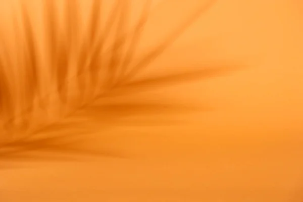 Tropische Schaduw Oranje Achtergrond Tropisch Palmblad — Stockfoto