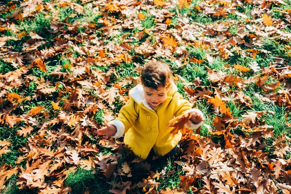 Happy Little Girl Yellow Jacket Playing Autumn Leaves Park Child — Stock Photo, Image