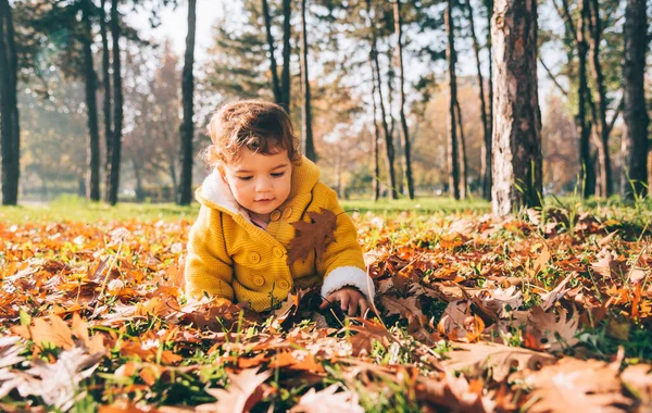 Happy Little Baby Girl Yellow Jacket Outdoor Crawling Playing Autumn — Stock Photo, Image