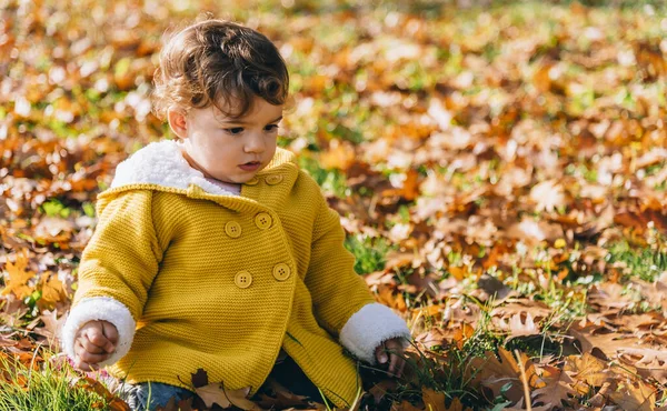 Happy Little Baby Girl Yellow Jacket Playing Autumn Leaves Park — Stock Photo, Image