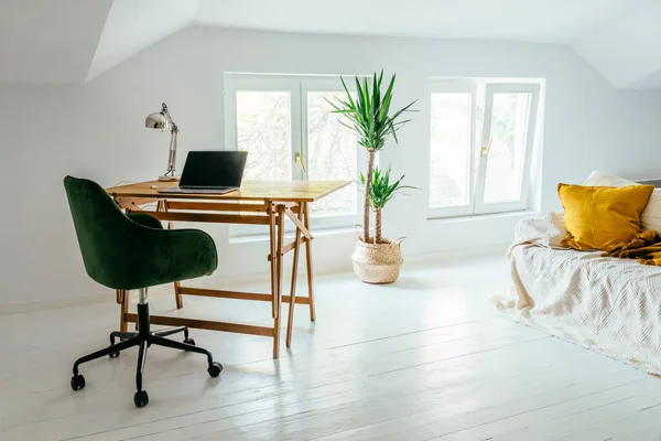 Diseño Interior Minimalista Apartamento Estudio Estilo Escandinavo Sala Estar Blanca — Foto de Stock