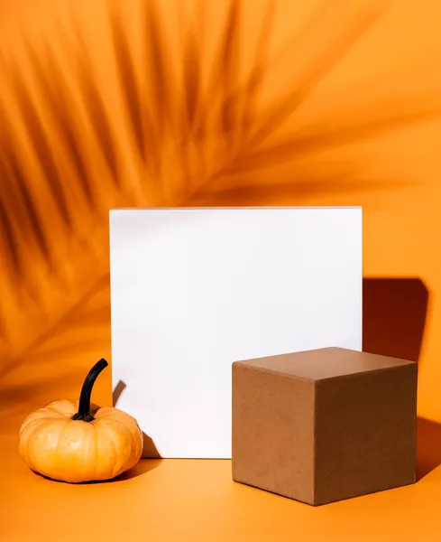 Abstrakt Bakgrundssammansättning Med Geometriska Former Och Thanksgiving Pumpa Inredning Produktscenen — Stockfoto