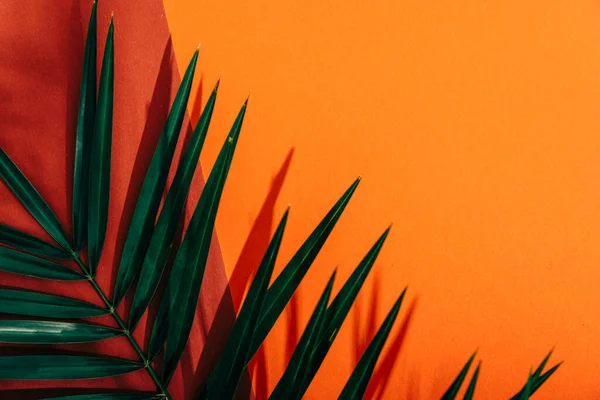 熱帯のヤシの葉の影と赤とオレンジの色の背景 2つのトレンドパステル紙とエキゾチックな緑の植物のレイアウト 極小平面 — ストック写真