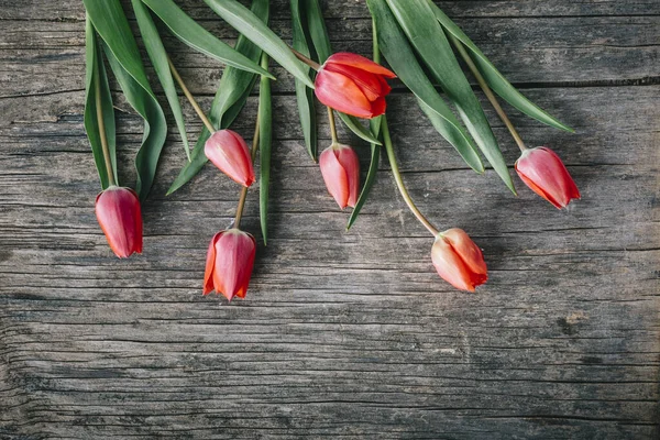 Flor Tulipán Rojo Sobre Fondo Madera Natural Desde Arriba Tarjeta —  Fotos de Stock