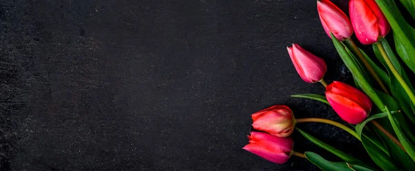 Червоні Квіти Тюльпанів Фоні Чорної Межі Зверху Весняна Квіткова Рамка — стокове фото