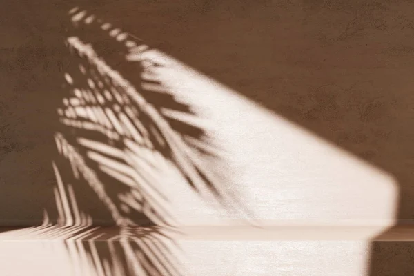 最小的产品放置背景与棕榈阴影混凝土墙壁 奢华的夏季建筑内部美学 现代热带模型设计 — 图库照片