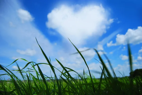 Heart cloud — Stock Photo, Image