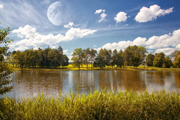 Park på sommaren — Stockfoto