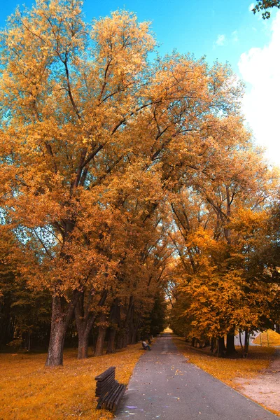 Jesienny park — Zdjęcie stockowe