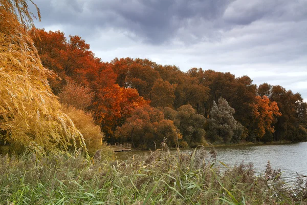 Hösten river park — Stockfoto