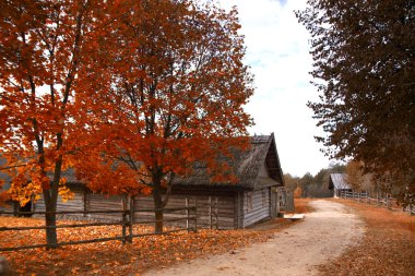 Avrupa'nın kalbinde antika ahşap village