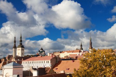 Tallinn şehir sonbahar sokak
