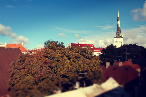 Tallinn city street im Herbst — Stockfoto