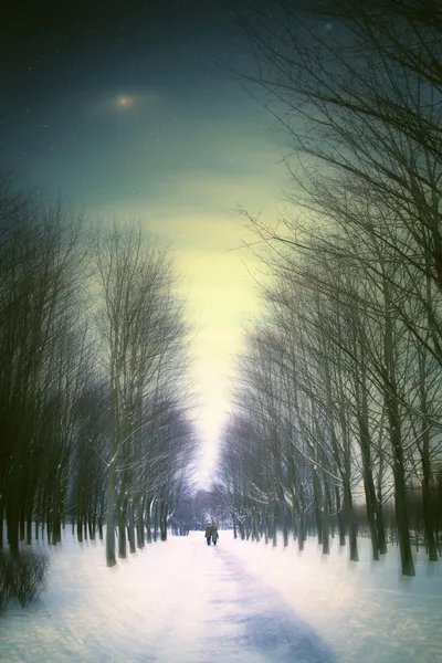 Winter night with friends in the park — Stock Photo, Image