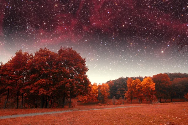 Fotografía infrarroja de primavera noche. Los elementos de esta imagen furnis —  Fotos de Stock