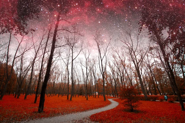 Spring night infrared photography. Elements of this image furnis — Stock Photo, Image