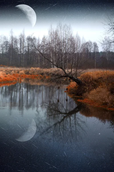 Paesaggio mistico con luna — Foto Stock