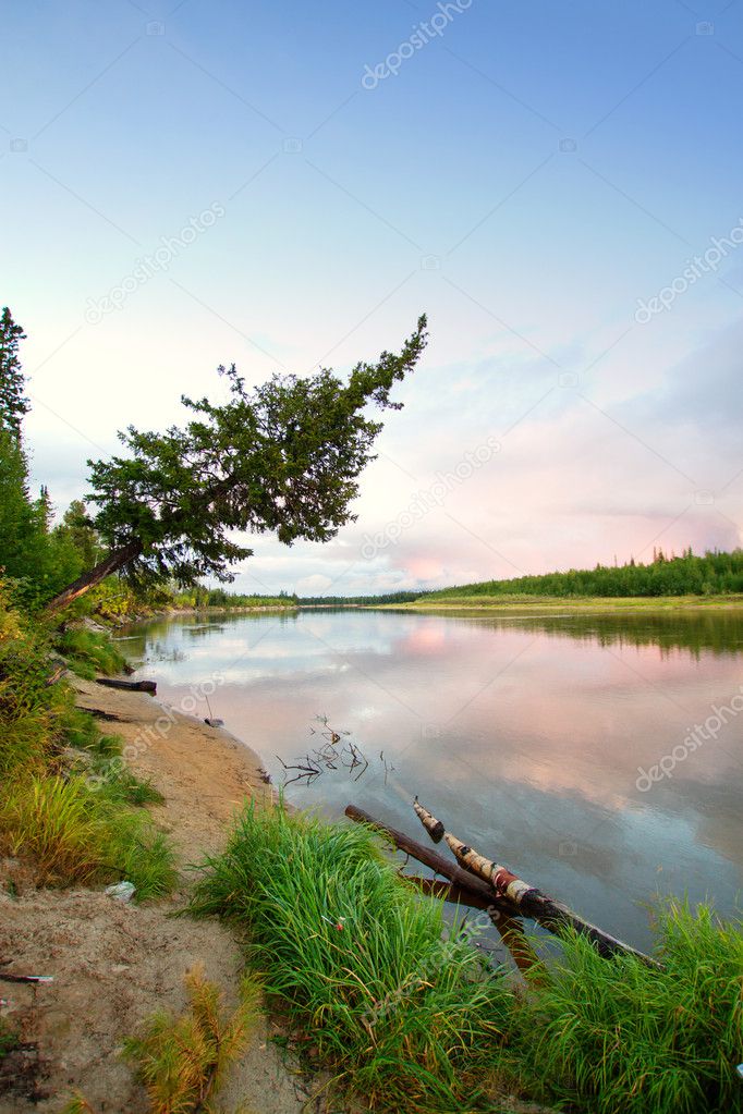 Northern Siberian river in summer