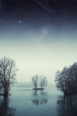 Gece lake Forest'ta. Nasa tarafından döşenmiş bu görüntü unsurları