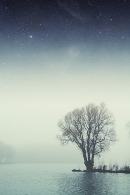 Gece lake Forest'ta. Nasa tarafından döşenmiş bu görüntü unsurları