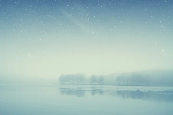 Ночной лес у озера. Элементы этого изображения предоставлены НАСА — стоковое фото