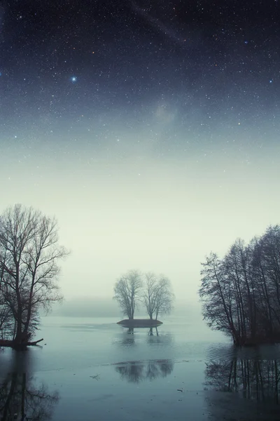 Ночной лес у озера. Элементы этого изображения предоставлены НАСА — стоковое фото